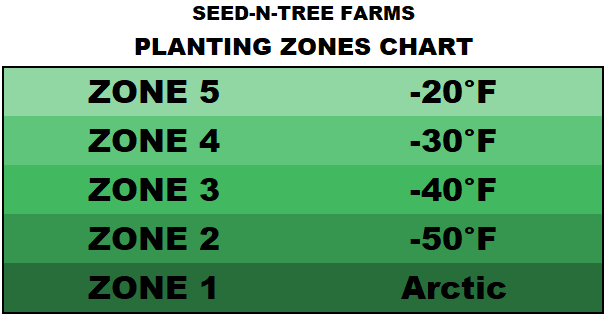 A chart that sorts numbered planting zones by their minimum degrees in Fahrenheit